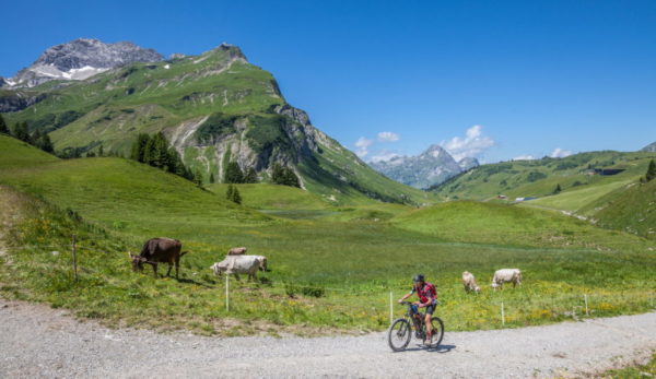 Man doing mountain biking in Tirol