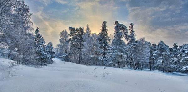 Beautiful winter landscape in Tirol Austria