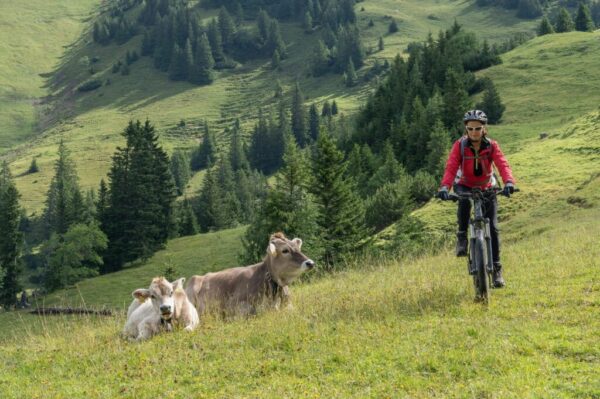 mountain-biking-tirol-holiday-1 mountain-biking-tirol-holiday-1