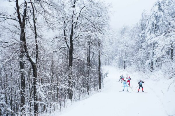 skating-holiday-tirol skating-holiday-tirol